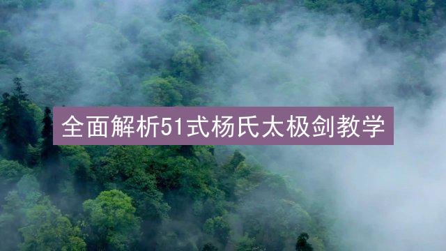 全面解析51式杨氏太极剑教学