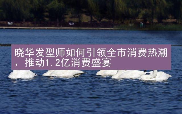 晓华发型师如何引领全市消费热潮，推动1.2亿消费盛宴