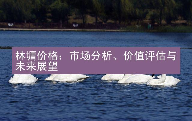 林墉价格：市场分析、价值评估与未来展望