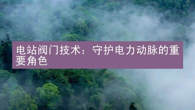 电站阀门技术：守护电力动脉的重要角色