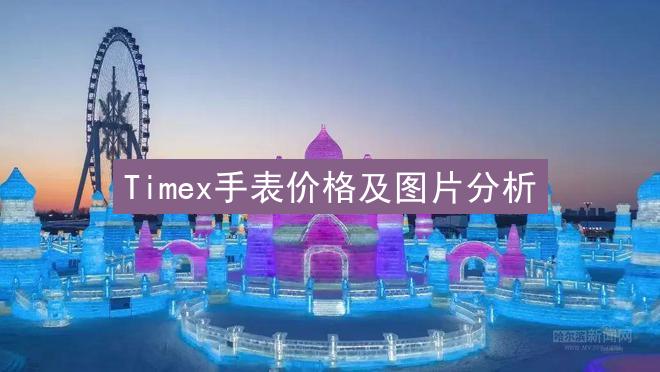 Timex手表价格及图片分析