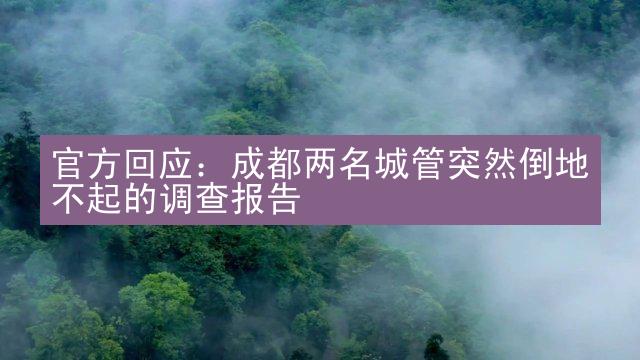 官方回应：成都两名城管突然倒地不起的调查报告