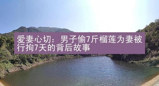 爱妻心切：男子偷7斤榴莲为妻被行拘7天的背后故事