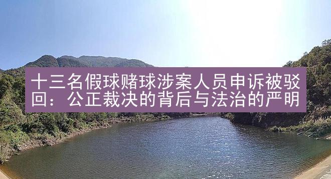 十三名假球赌球涉案人员申诉被驳回：公正裁决的背后与法治的严明