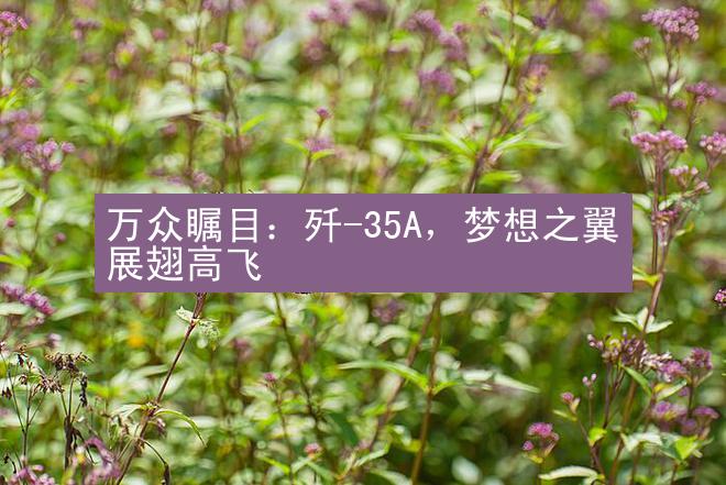 万众瞩目：歼-35A，梦想之翼展翅高飞