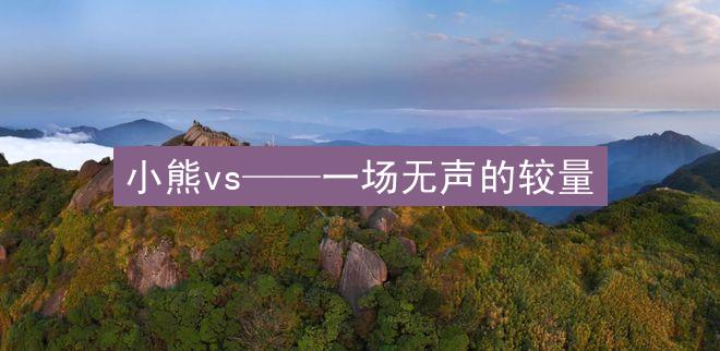 小熊vs——一场无声的较量