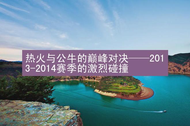 热火与公牛的巅峰对决——2013-2014赛季的激烈碰撞