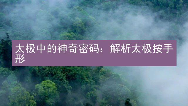 太极中的神奇密码：解析太极按手形