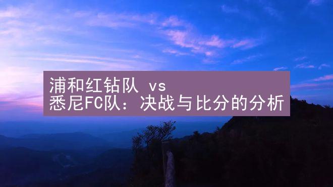 浦和红钻队 vs 悉尼FC队：决战与比分的分析