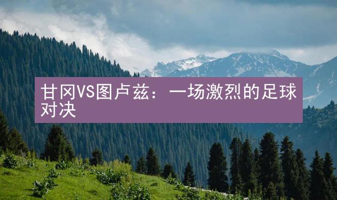 甘冈VS图卢兹：一场激烈的足球对决