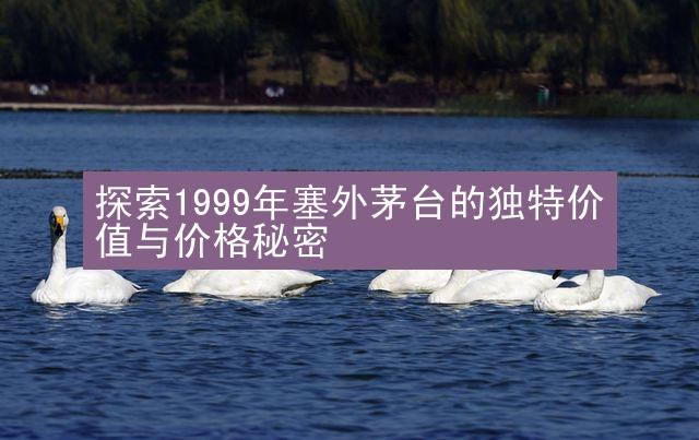 探索1999年塞外茅台的独特价值与价格秘密