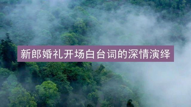 新郎婚礼开场白台词的深情演绎