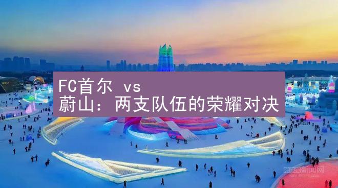 FC首尔 vs 蔚山：两支队伍的荣耀对决