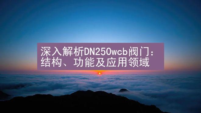 深入解析DN250wcb阀门：结构、功能及应用领域