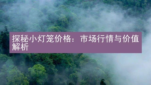 探秘小灯笼价格：市场行情与价值解析