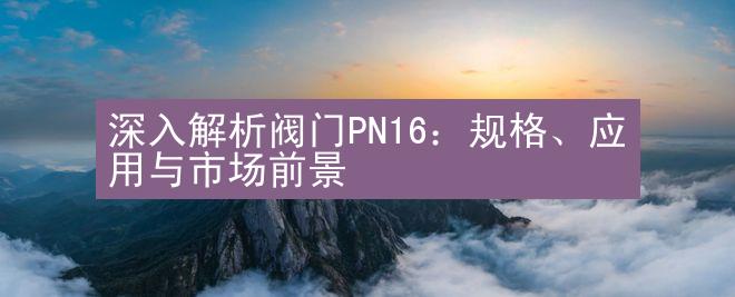 深入解析阀门PN16：规格、应用与市场前景